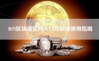 BSN区块链官网入口与权威使用指南