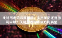 比特币走势深度解析，牛市重启还是回调中继？关键位置与未来方向展望