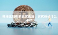 揭秘比特币的真实面貌，它究竟长什么样？