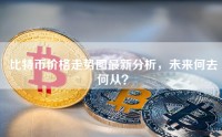 比特币价格走势图最新分析，未来何去何从？