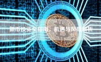 新币投资全指南，机遇与风险解析