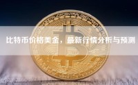 比特币价格美金，最新行情分析与预测