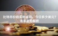 比特币价格实时波动，今日多少美元？未来走势解析