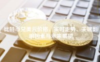 比特币兑美元价格，实时走势、关键影响因素与未来展望