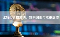 比特币价格波动，影响因素与未来展望