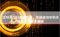 比特币今日最新价格，市场波动中的关键信号与未来展望