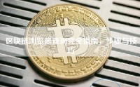 区块链浏览器查询完全指南，步骤与技巧