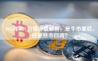 2024年BTC行情深度解析，是牛市重启，还是熊市回调？