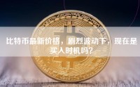 比特币最新价格，剧烈波动下，现在是买入时机吗？