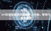 BSN区块链官网全面解析，功能、使用与未来展望