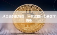从贝壳到比特币，一文读懂什么是数字货币