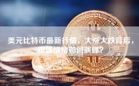 美元比特币最新行情，大涨大跌背后，市场情绪如何演绎？