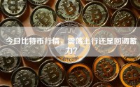 今日比特币行情，震荡上行还是回调蓄力？