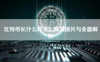 比特币长什么样子？高清图片与全面解析