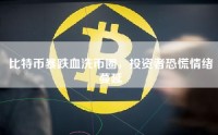 比特币暴跌血洗币圈，投资者恐慌情绪蔓延