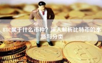 BTC属于什么币种？深入解析比特币的本质与分类