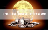 比特币美金价格走势分析与未来展望