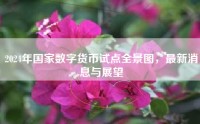 2024年国家数字货币试点全景图，最新消息与展望