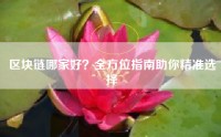 区块链哪家好？全方位指南助你精准选择