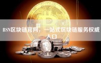 BSN区块链官网，一站式区块链服务权威入口