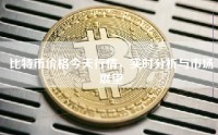 比特币价格今天行情，实时分析与市场展望