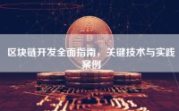 区块链开发全面指南，关键技术与实践案例
