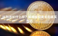比特币长什么样？揭秘虚拟黄金的真实形态