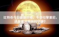 比特币今日最新价格，牛市引擎重启，还是暴风雨前的宁静？