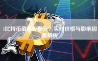 1比特币值多少美元？实时价格与影响因素解析