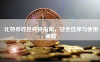 比特币钱包终极指南，安全选择与使用策略