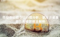 币安币价格今日行情分析，暴涨还是暴跌？关键数据全解析