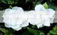 十大虚拟货币钱包盘点，安全与便捷之选