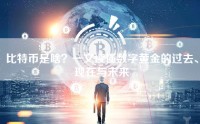 比特币是啥？一文读懂数字黄金的过去、现在与未来