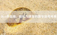 Dash币指南，隐私与速度的数字货币未来