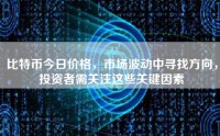 比特币今日价格，市场波动中寻找方向，投资者需关注这些关键因素