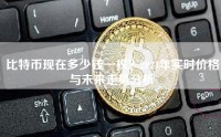 比特币现在多少钱一枚？2024年实时价格与未来走势分析
