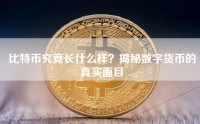 比特币究竟长什么样？揭秘数字货币的真实面目