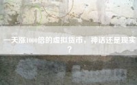 一天涨1000倍的虚拟货币，神话还是现实？