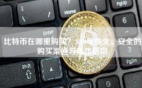 比特币在哪里购买？2024年最全、安全的购买渠道与操作指南