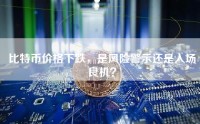 比特币价格下跌，是风险警示还是入场良机？