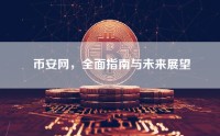 币安网，全面指南与未来展望