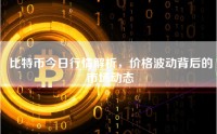 比特币今日行情解析，价格波动背后的市场动态
