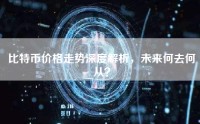 比特币价格走势深度解析，未来何去何从？