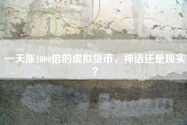 一天涨1000倍的虚拟货币，神话还是现实？