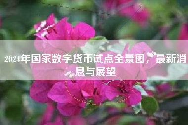 2024年国家数字货币试点全景图，最新消息与展望