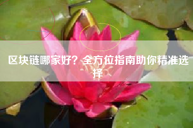 区块链哪家好？全方位指南助你精准选择