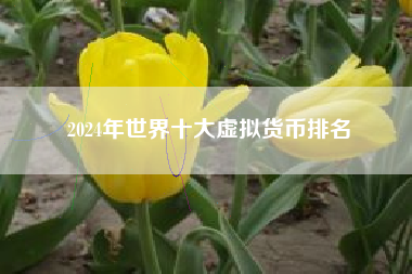 2024年世界十大虚拟货币排名