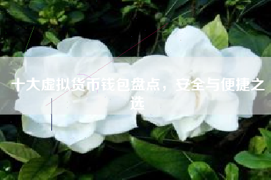 十大虚拟货币钱包盘点，安全与便捷之选