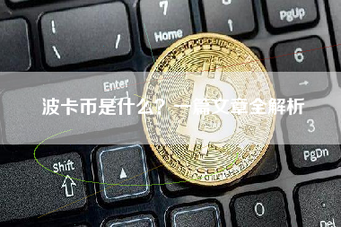 波卡币是什么？一篇文章全解析