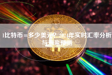 1比特币=多少美元？2024年实时汇率分析与未来预测
